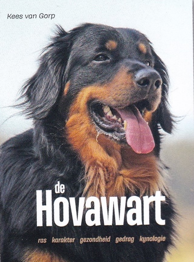kopie cover